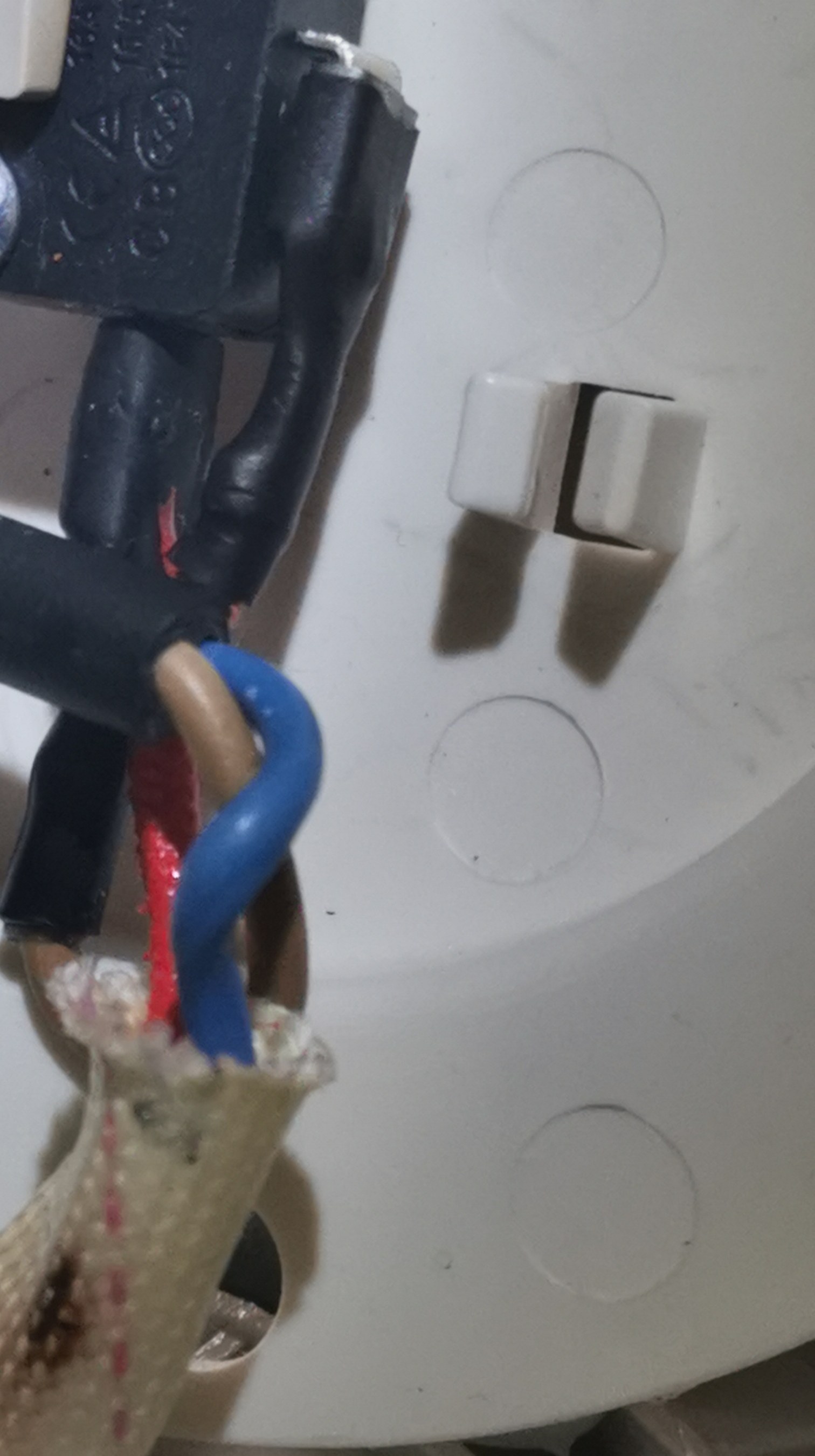 线束与护套、开关附近走线（裁切后便于看清接点区域）